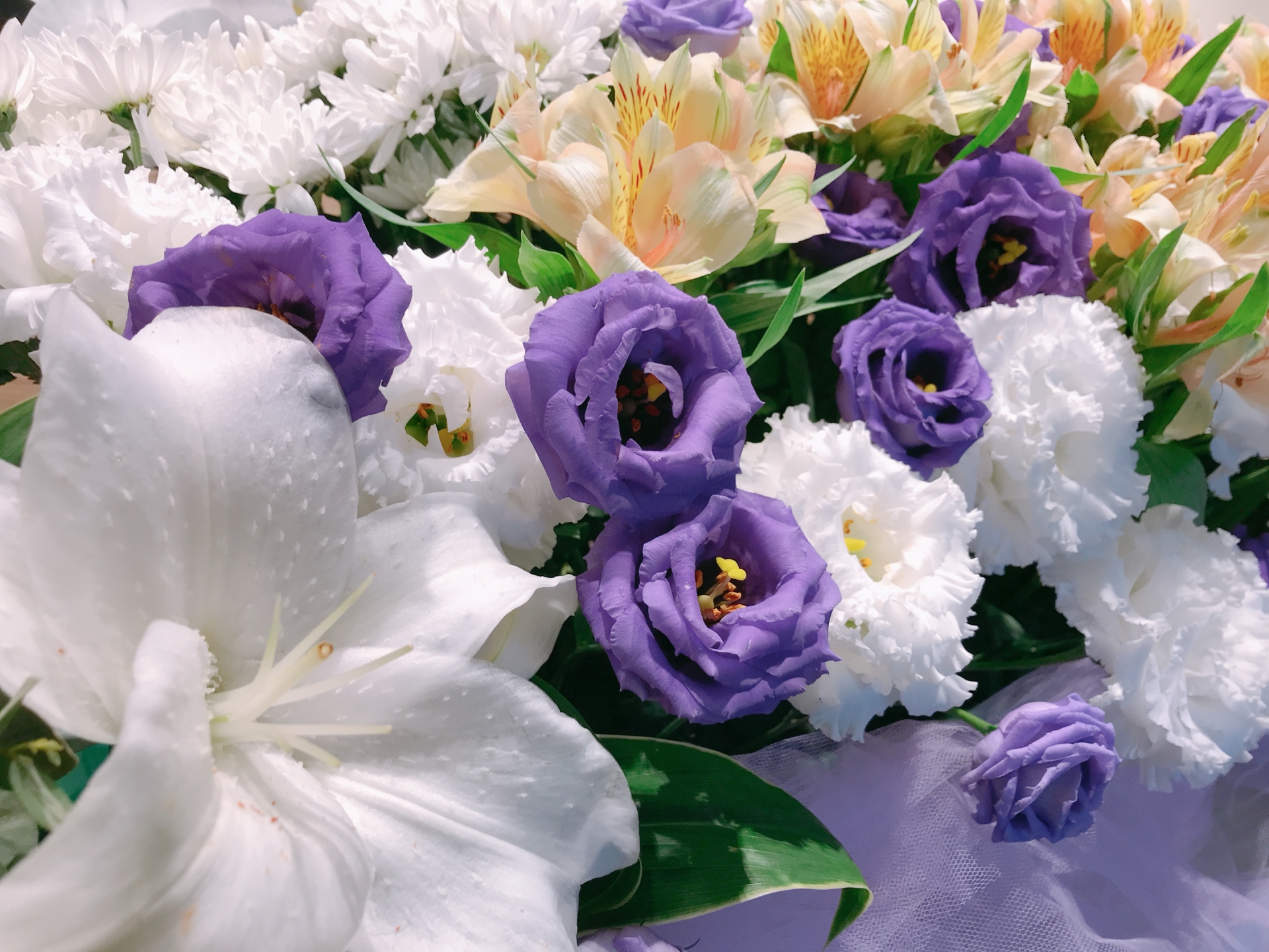 福祉葬イメージ