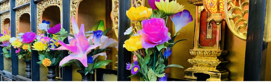 オプションのイメージ